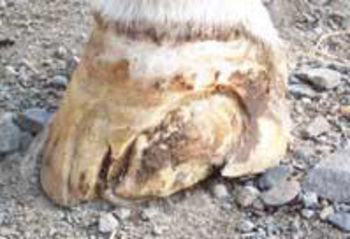 home02.jpg