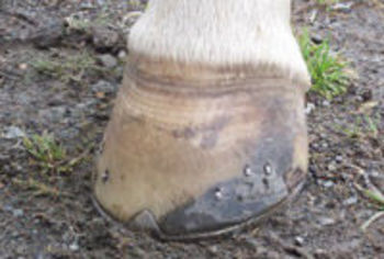 home03.jpg